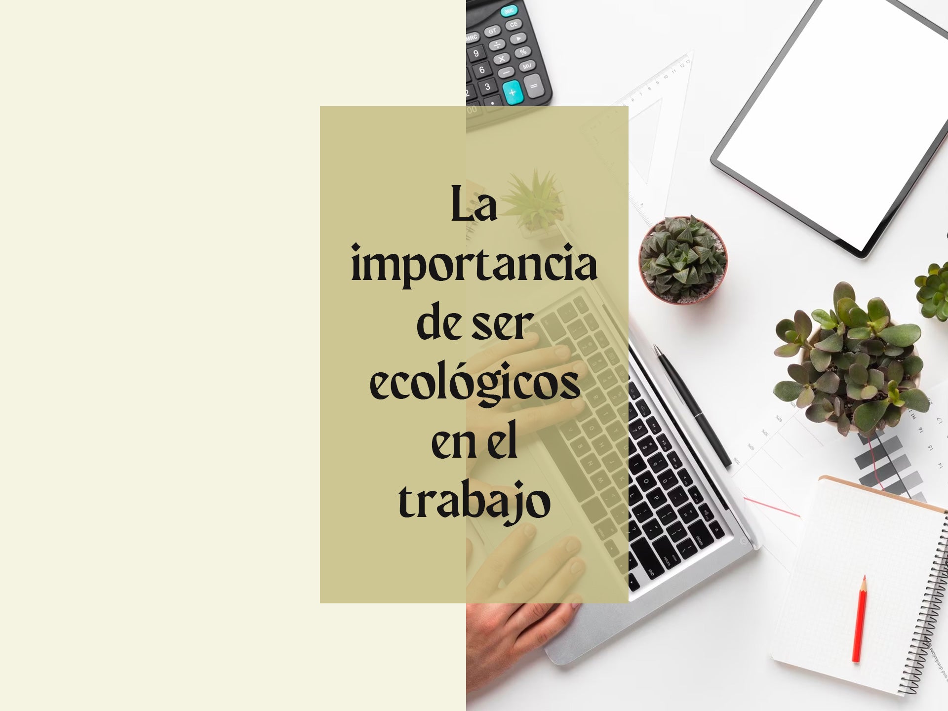 La importancia de ser ecológicos en el trabajo